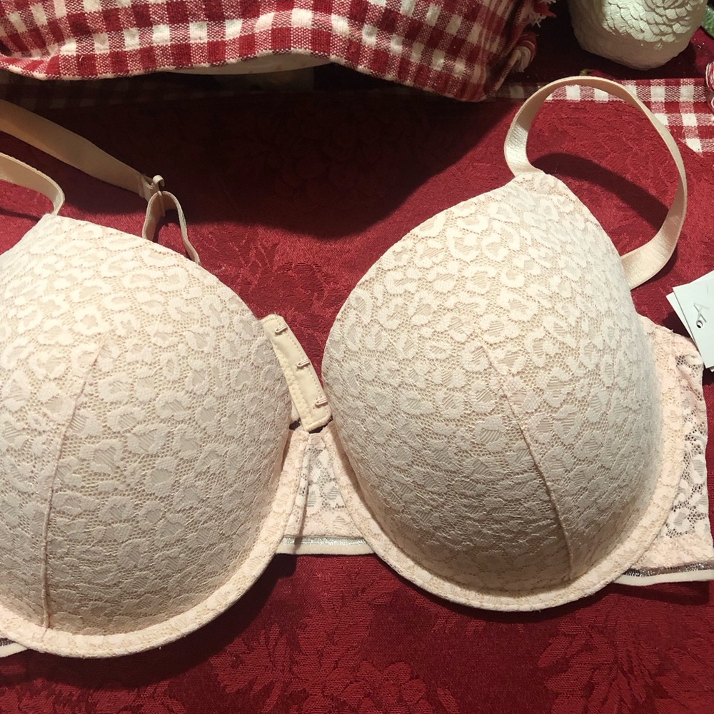 Elegant Lace Bra in Cream